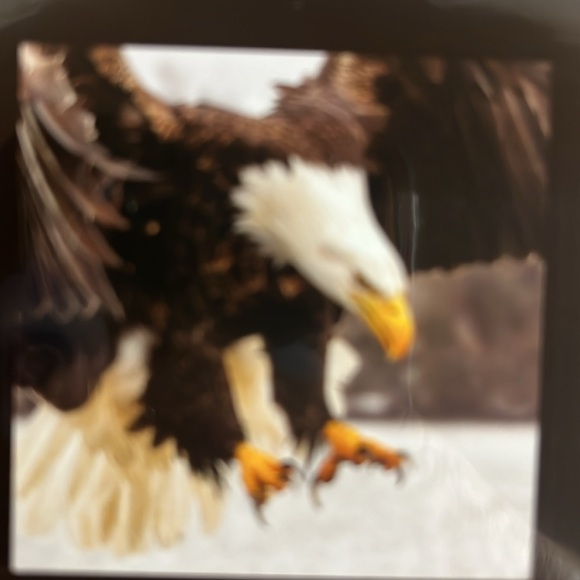 North America Wild Life 2025 12 Month Calendar NIP - Picture 9 of 16